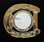 Silver Buckle Net